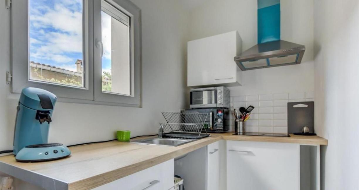 Joli Studio Maisonnette Avec Cachet Toulouse Eksteriør bilde