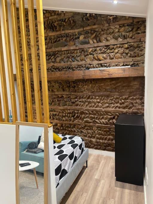 Joli Studio Maisonnette Avec Cachet Toulouse Eksteriør bilde