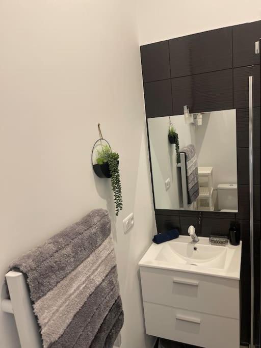Joli Studio Maisonnette Avec Cachet Toulouse Eksteriør bilde