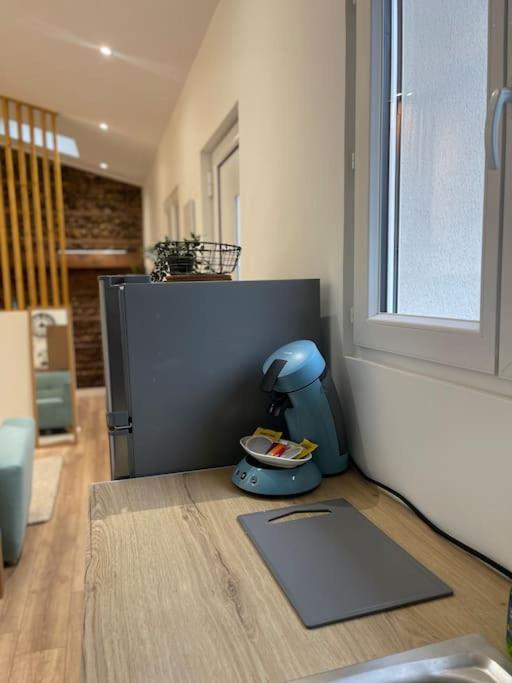 Joli Studio Maisonnette Avec Cachet Toulouse Eksteriør bilde