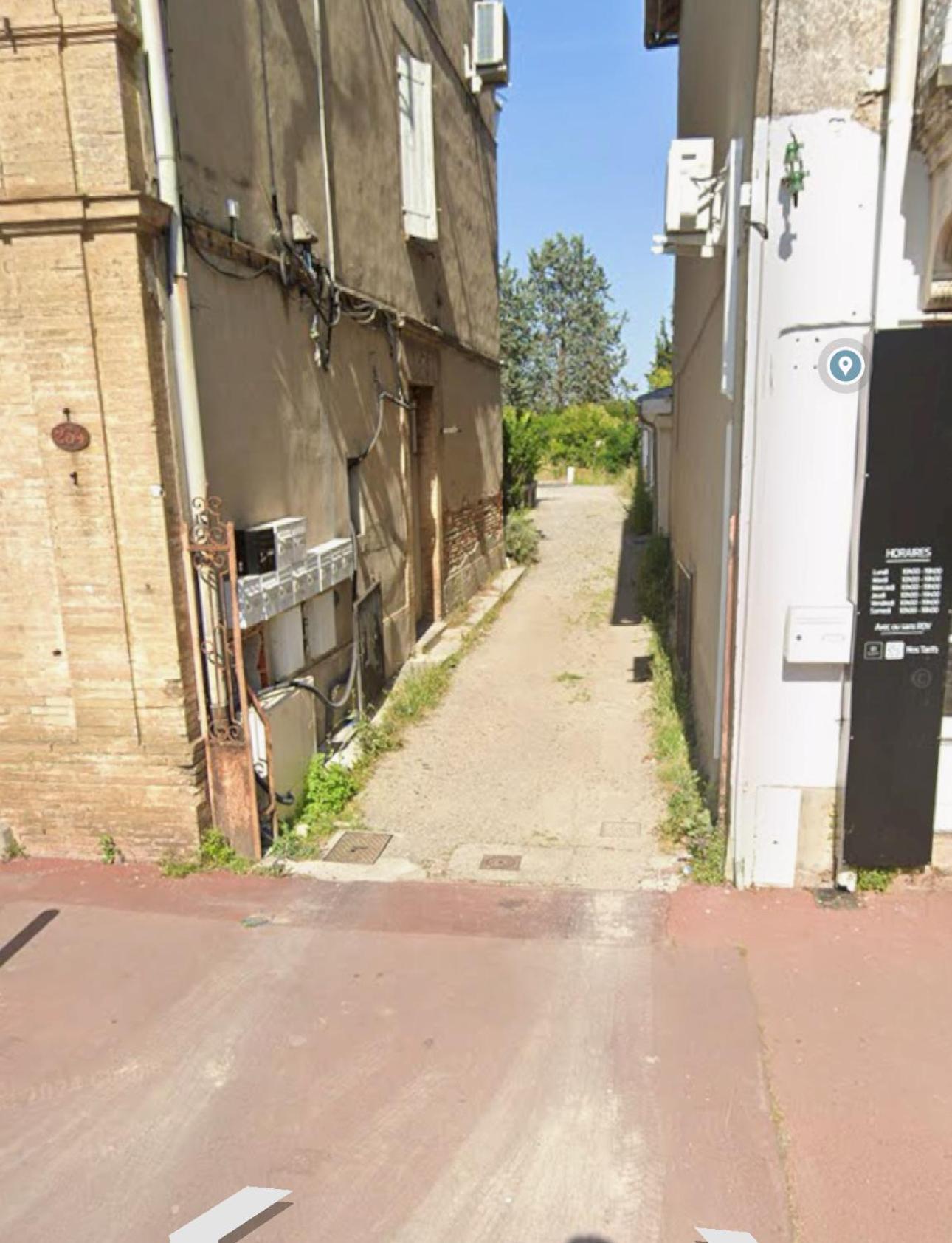 Joli Studio Maisonnette Avec Cachet Toulouse Eksteriør bilde
